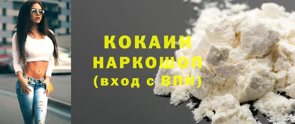 бошки Гусев
