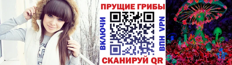 blacksprut ONION  Кострома  Галлюциногенные грибы Psilocybine cubensis 